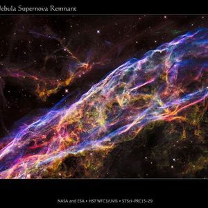 Meet your Posher, Shawn